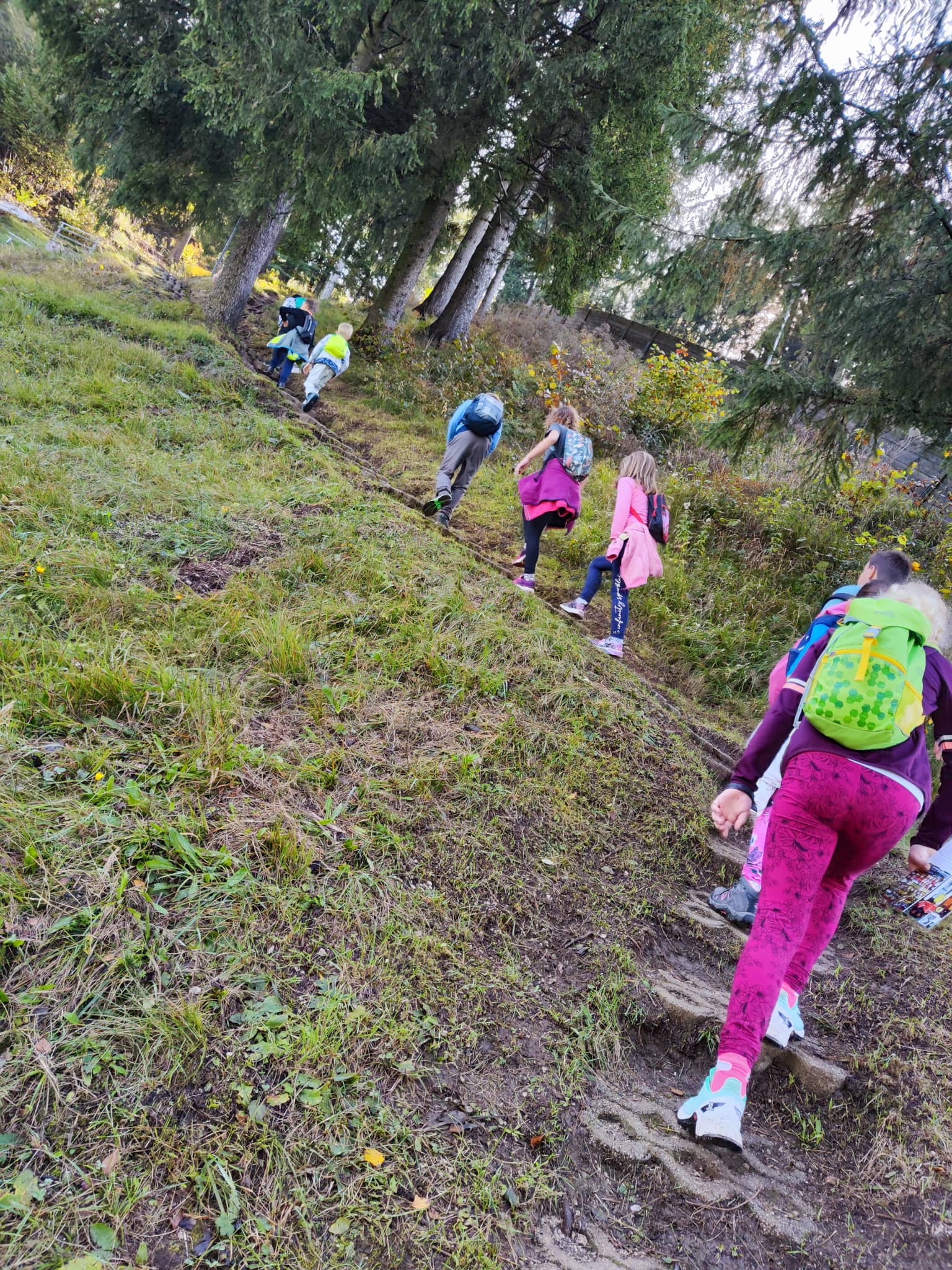 Športni dan – Pohod po okoliških hribih Logatca, vzpon na Sekirico